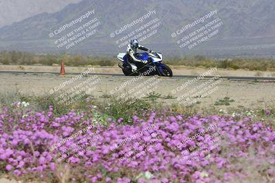 media/Feb-04-2023-SoCal Trackdays (Sat) [[8a776bf2c3]]/Turn 15 Inside Blooming (1050am)/